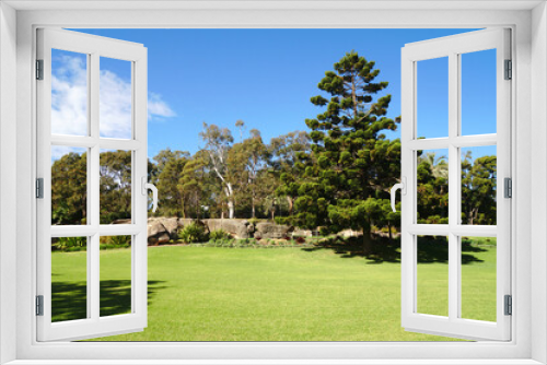 Fototapeta Naklejka Na Ścianę Okno 3D - Landscape of Pine Tree and Garden in Royal Botanic Garden Sydney NSW Australia