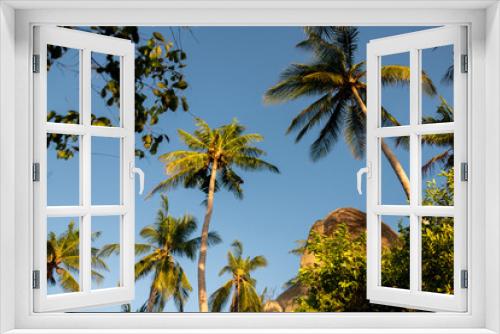 Fototapeta Naklejka Na Ścianę Okno 3D - Kokospalme, tropische Pflanzengewächse in Thailand, Nahrung- und Rohstoff Lieferanten.