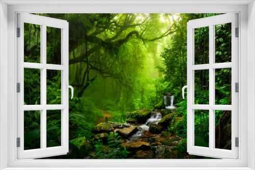 Fototapeta Naklejka Na Ścianę Okno 3D - Tropical forest landscape with river