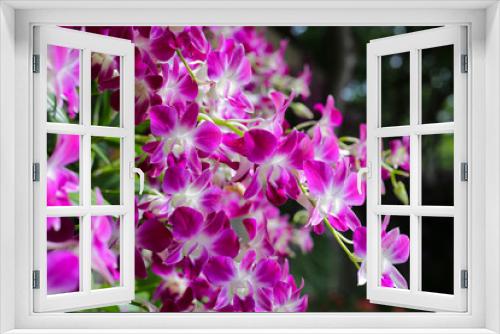 Fototapeta Naklejka Na Ścianę Okno 3D - Beautiful purple orchid flowers. Flower background.