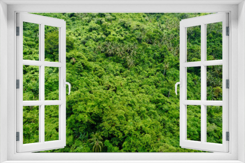 Fototapeta Naklejka Na Ścianę Okno 3D - Green background of leaves on tree branches. Green foliage texture. Aerial view of treetops in the jungle.
