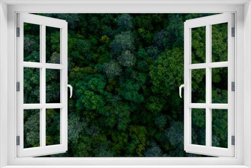 Fototapeta Naklejka Na Ścianę Okno 3D - Aerial view of nature green forest and tree. Forest ecosystem and health concept and background, texture of green forest from above.Nature conservation concept.Natural scenery tropical green forest.