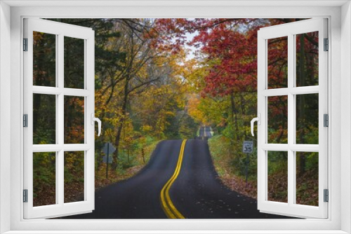 Fototapeta Naklejka Na Ścianę Okno 3D - Beautiful scenery of a road in the autumn shade of forest