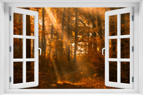 Fototapeta Naklejka Na Ścianę Okno 3D - Whispers of Dawn: Sunbeams Painting Magic in the Misty Forest