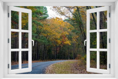 Fototapeta Naklejka Na Ścianę Okno 3D - Country road lined with beautiful fall colored foliage.