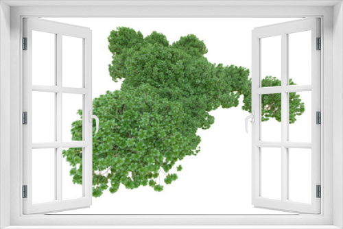 Fototapeta Naklejka Na Ścianę Okno 3D - African forest isolated on transparent background. 3d rendering - illustration