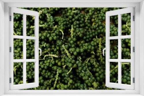 Fototapeta Naklejka Na Ścianę Okno 3D - Fresh Peppers