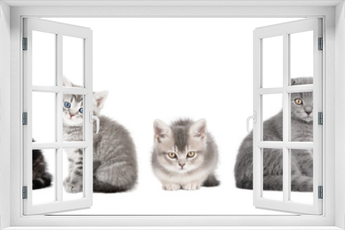 Fototapeta Naklejka Na Ścianę Okno 3D - set of cute cat isolated