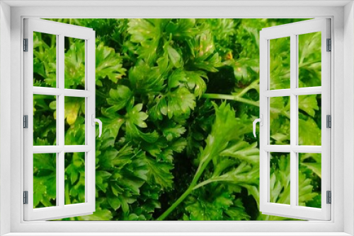 Fototapeta Naklejka Na Ścianę Okno 3D - Close up of green vegetables and fruits for background