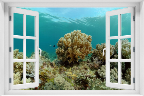 Fototapeta Naklejka Na Ścianę Okno 3D - Coral reef underwater with fishes and marine life. Coral reef and tropical fish.