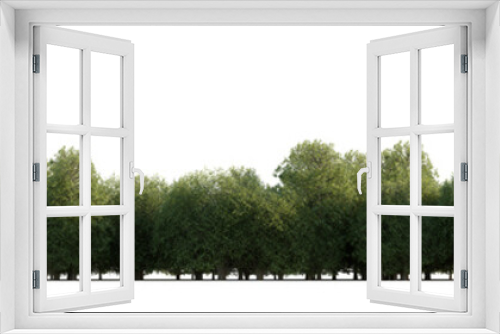 Fototapeta Naklejka Na Ścianę Okno 3D - isolated deciduous tree, best use for background