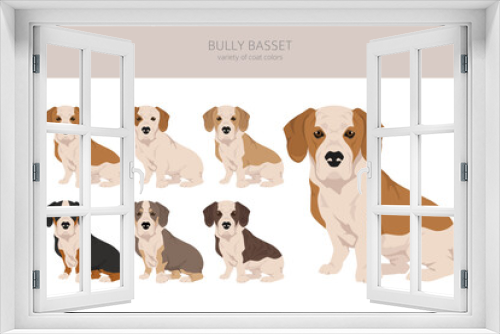 Fototapeta Naklejka Na Ścianę Okno 3D - Bully Basset clipart. Bulldog Basset Hound mix. Different coat colors set