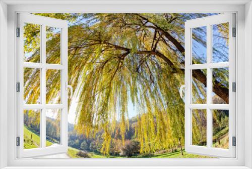 Fototapeta Naklejka Na Ścianę Okno 3D - trees in park