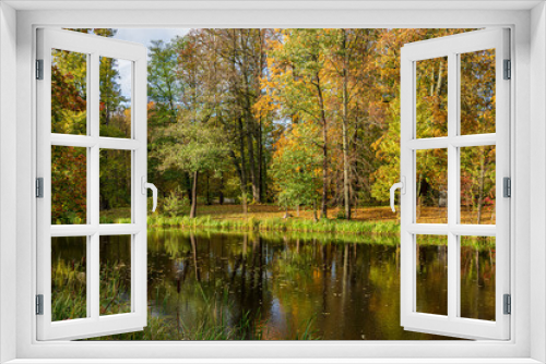 Fototapeta Naklejka Na Ścianę Okno 3D - Autumn view with colourful trees in a park with reflection in a pond