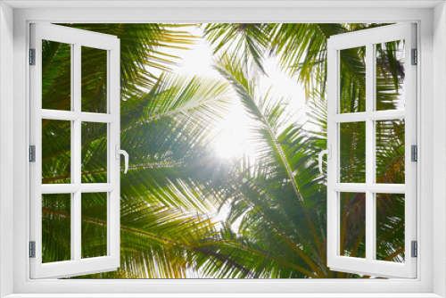 Fototapeta Naklejka Na Ścianę Okno 3D - bottom palm coconut tree with sunshine