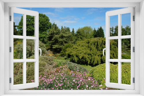 Fototapeta Naklejka Na Ścianę Okno 3D - Jardin botanique; Edinbourgh; Ecosse; Grande Bretagne