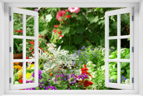 Fototapeta Naklejka Na Ścianę Okno 3D - Flowers in the greenhouse