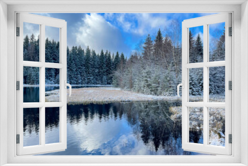 Fototapeta Naklejka Na Ścianę Okno 3D - landscape with lake and trees in the winter, vogtland saxony