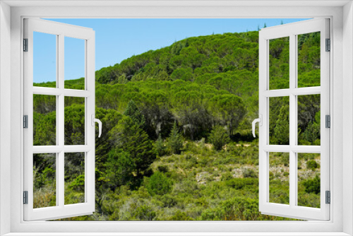 Fototapeta Naklejka Na Ścianę Okno 3D - Tipico panorama dell'entroterra sardo. Sardegna, Italia
