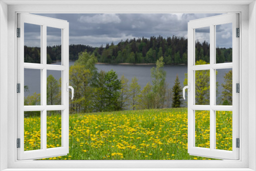 Fototapeta Naklejka Na Ścianę Okno 3D - Rain clouds over the lake on spring day. Trees on lake shore, and meadow with yellow dandelions in foreground
