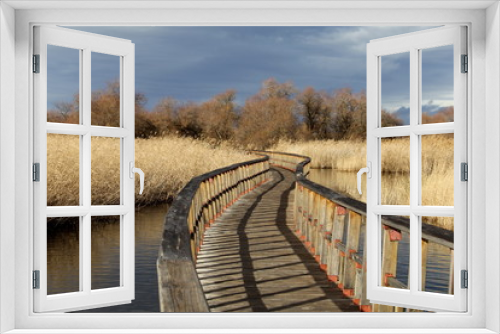 Fototapeta Naklejka Na Ścianę Okno 3D - Camino sobre el rio