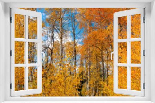 Fototapeta Naklejka Na Ścianę Okno 3D - Beautiful Autumn Aspen grove in the fall