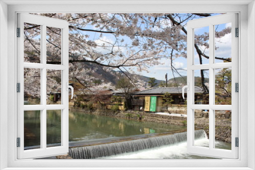 Fototapeta Naklejka Na Ścianę Okno 3D - 京都の桜と川