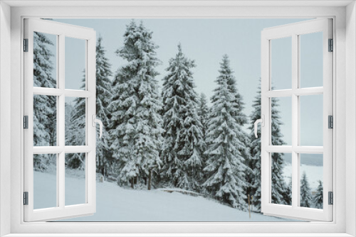 Fototapeta Naklejka Na Ścianę Okno 3D - Snow covered trees at ski hill