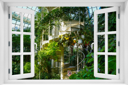 Fototapeta Naklejka Na Ścianę Okno 3D - White iron spiral stair surrounded with tropical trees and plants. Windows on the back. Vienna Palm house. September 2023