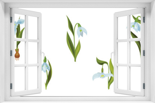 Fototapeta Naklejka Na Ścianę Okno 3D - Snowdrops Spring Flowers on Green Stem Vector Set