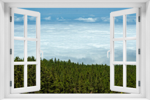 Fototapeta Naklejka Na Ścianę Okno 3D - A great forest ends next to a sea of clouds