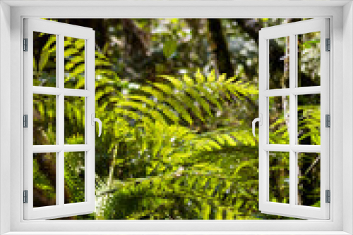Fototapeta Naklejka Na Ścianę Okno 3D - Foliage