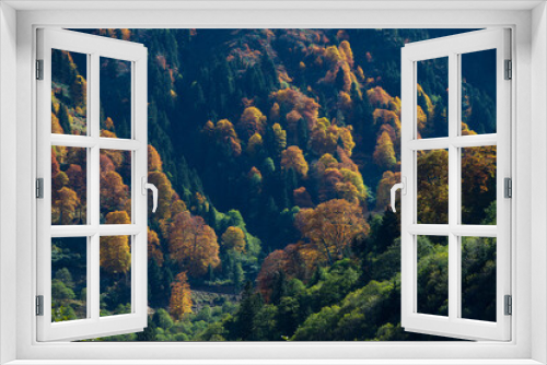 Fototapeta Naklejka Na Ścianę Okno 3D - Autumn Dreams