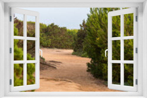 Fototapeta Naklejka Na Ścianę Okno 3D - A sandy path coniferous shrubs on the island of Majorca in spain