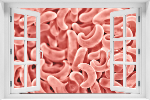 Fototapeta Naklejka Na Ścianę Okno 3D - coral color texture background pink tone pastel nature sea underwater