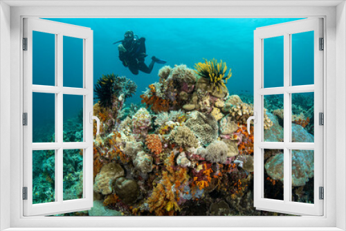 Fototapeta Naklejka Na Ścianę Okno 3D - diver and coral