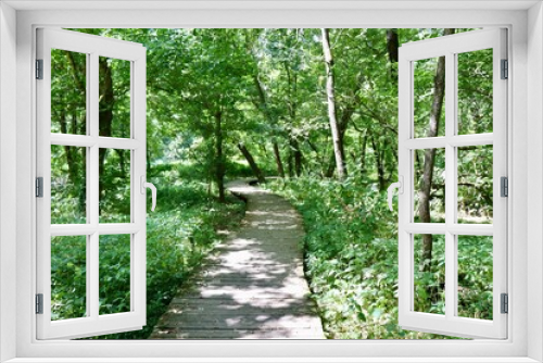 Fototapeta Naklejka Na Ścianę Okno 3D - The wood boardwalk on the trail in the forest.