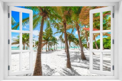 Fototapeta Naklejka Na Ścianę Okno 3D - Several coconut palm trees in Bois Jolan beach in Guadeloupe