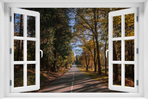 Fototapeta Naklejka Na Ścianę Okno 3D - Endless road crossing Gerês National Park forest in autumn 
