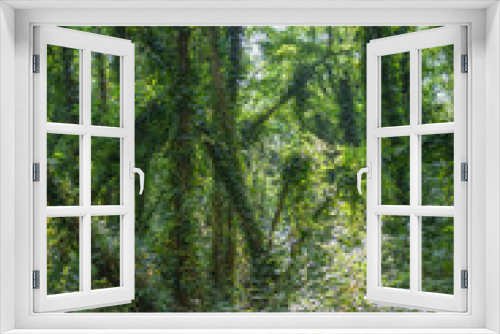 Fototapeta Naklejka Na Ścianę Okno 3D - Mystical Jungle: Enchanted Rainforest in the Morning Light