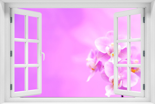 Fototapeta Naklejka Na Ścianę Okno 3D - Hintergrund mit Blumen