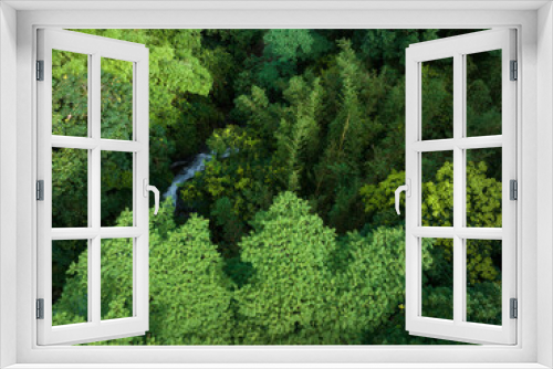 Fototapeta Naklejka Na Ścianę Okno 3D - Aerial footage of tropical forest in summer