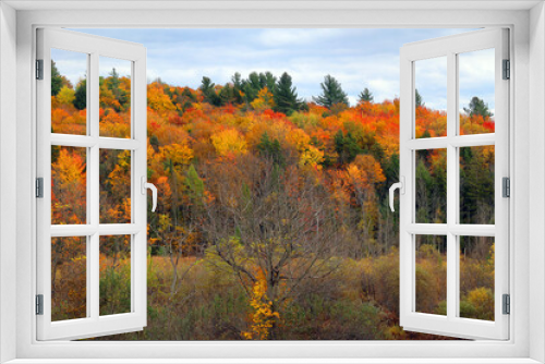 Fototapeta Naklejka Na Ścianę Okno 3D - North america fall landscape eastern township Bromont-Shefford Quebec province Canada