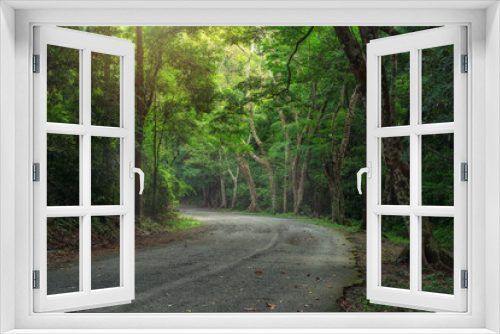 Fototapeta Naklejka Na Ścianę Okno 3D - Road winds through the lush green forest with golden sunlight illuminating the beautiful road in the lush green forest.