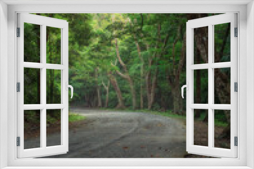 Fototapeta Naklejka Na Ścianę Okno 3D - Road winds through the lush green forest with golden sunlight illuminating the beautiful road in the lush green forest.