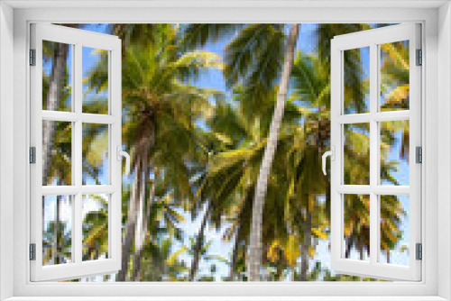 Fototapeta Naklejka Na Ścianę Okno 3D - Bavaro beach, Punta Cana, Dominican republic