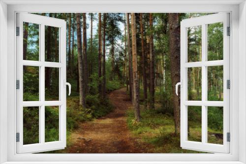 Fototapeta Naklejka Na Ścianę Okno 3D - trail in a beautidul summer forest. deciduous and pine trees