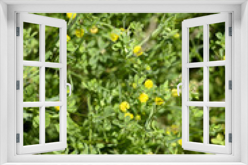 Fototapeta Naklejka Na Ścianę Okno 3D - Spring Background
