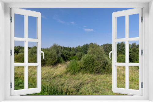 Fototapeta Naklejka Na Ścianę Okno 3D - a field with green grass and shrubs with green foliage