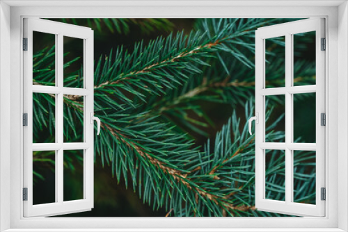 Fototapeta Naklejka Na Ścianę Okno 3D - grüne Tanne